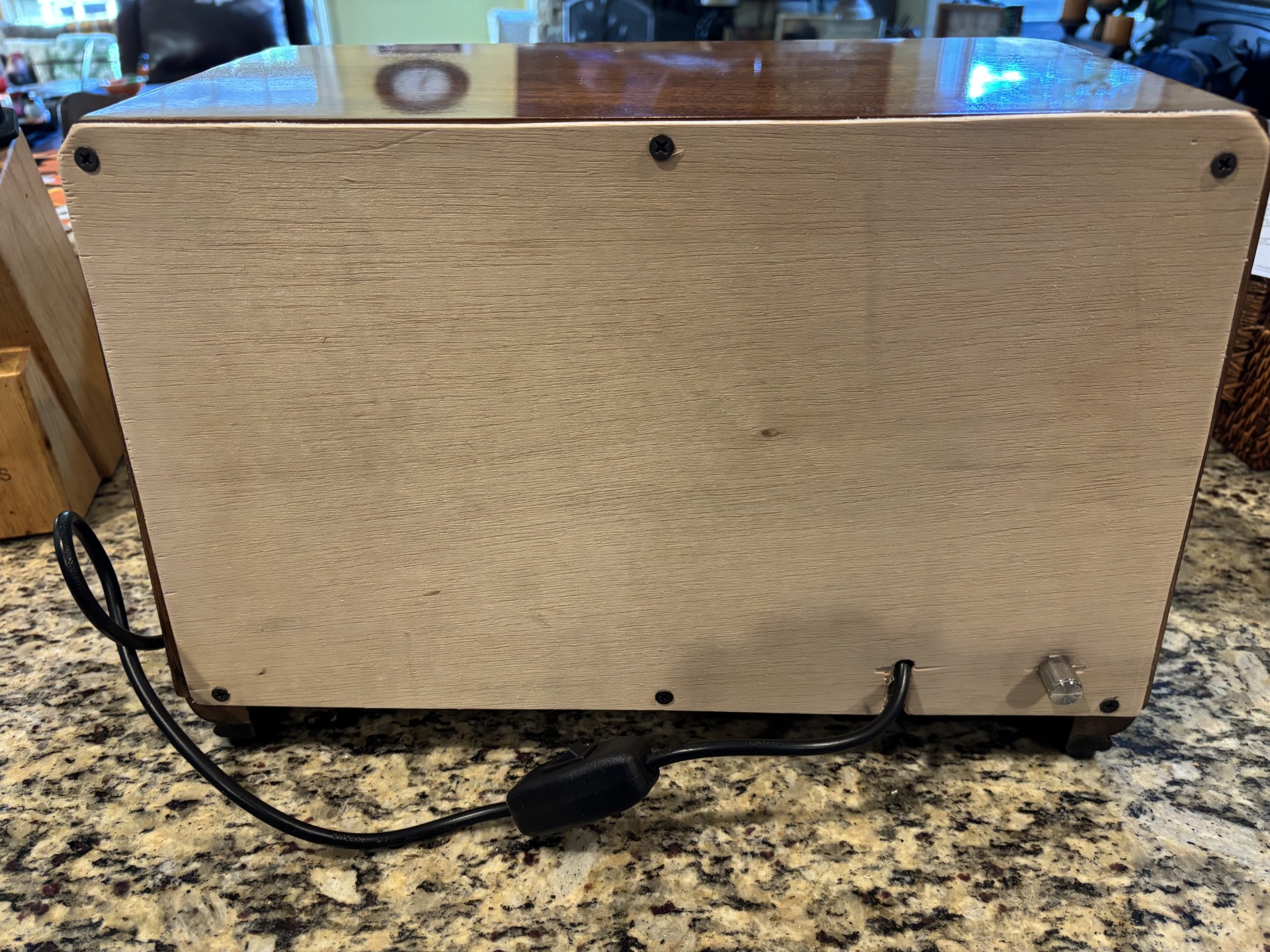 New Speaker & Bluetooth Amp