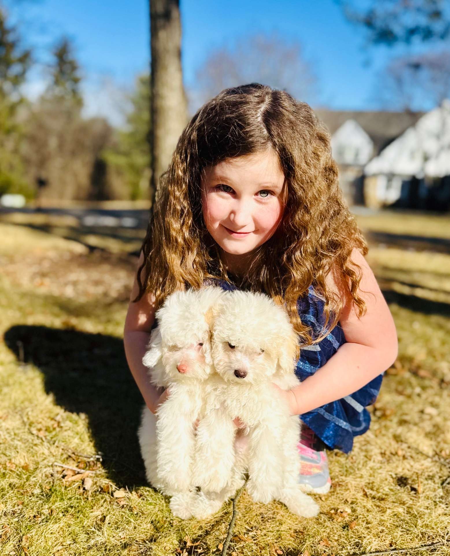 Luxurious Doodle's image