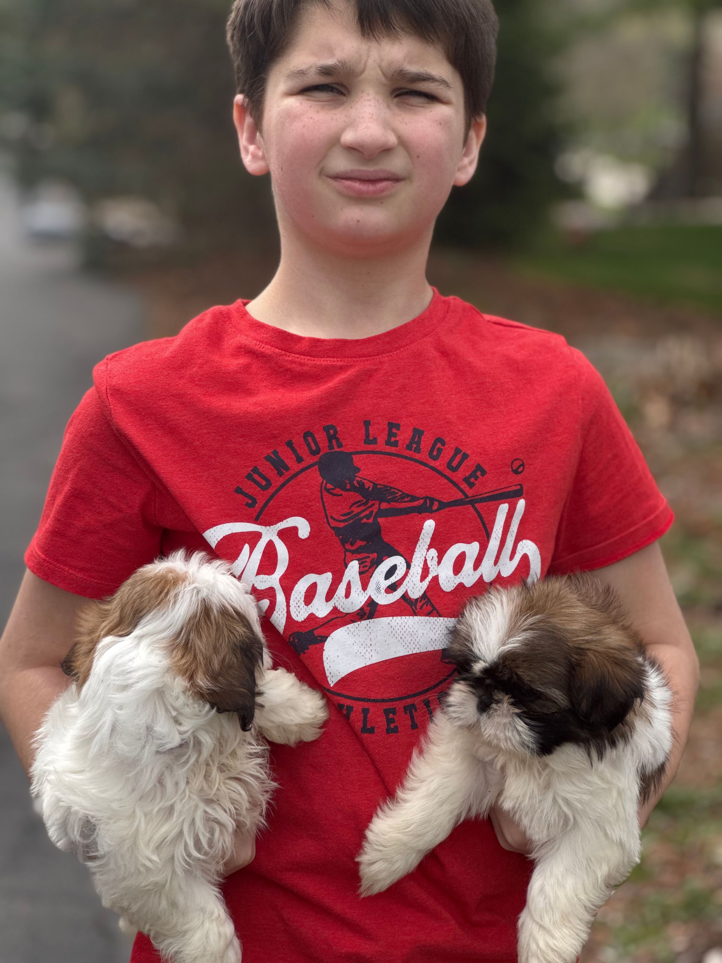 Luxurious Doodle's image