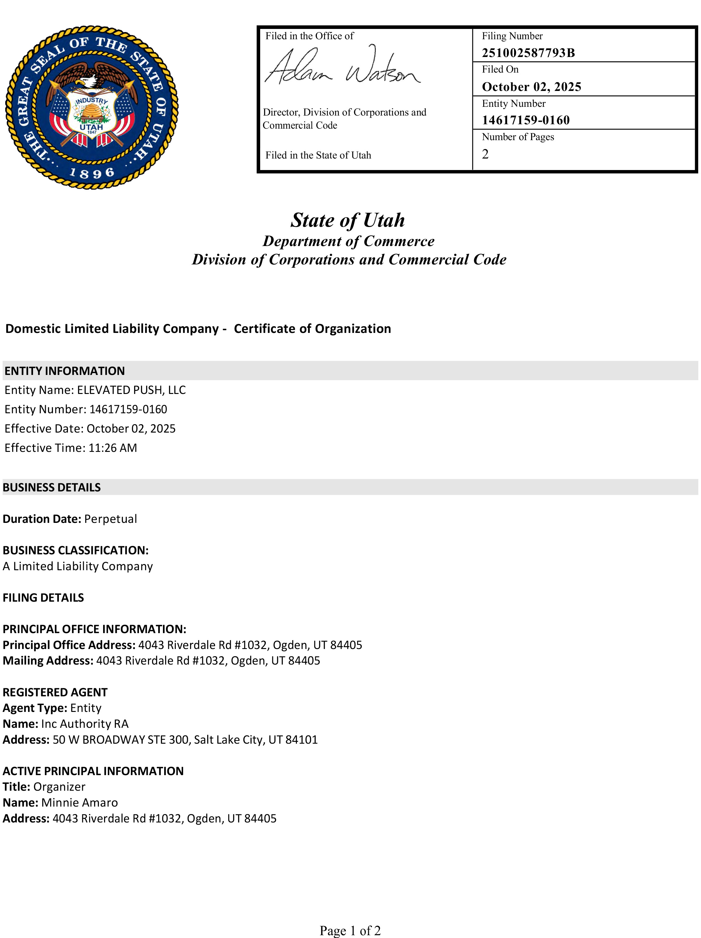 Elevated Push's image