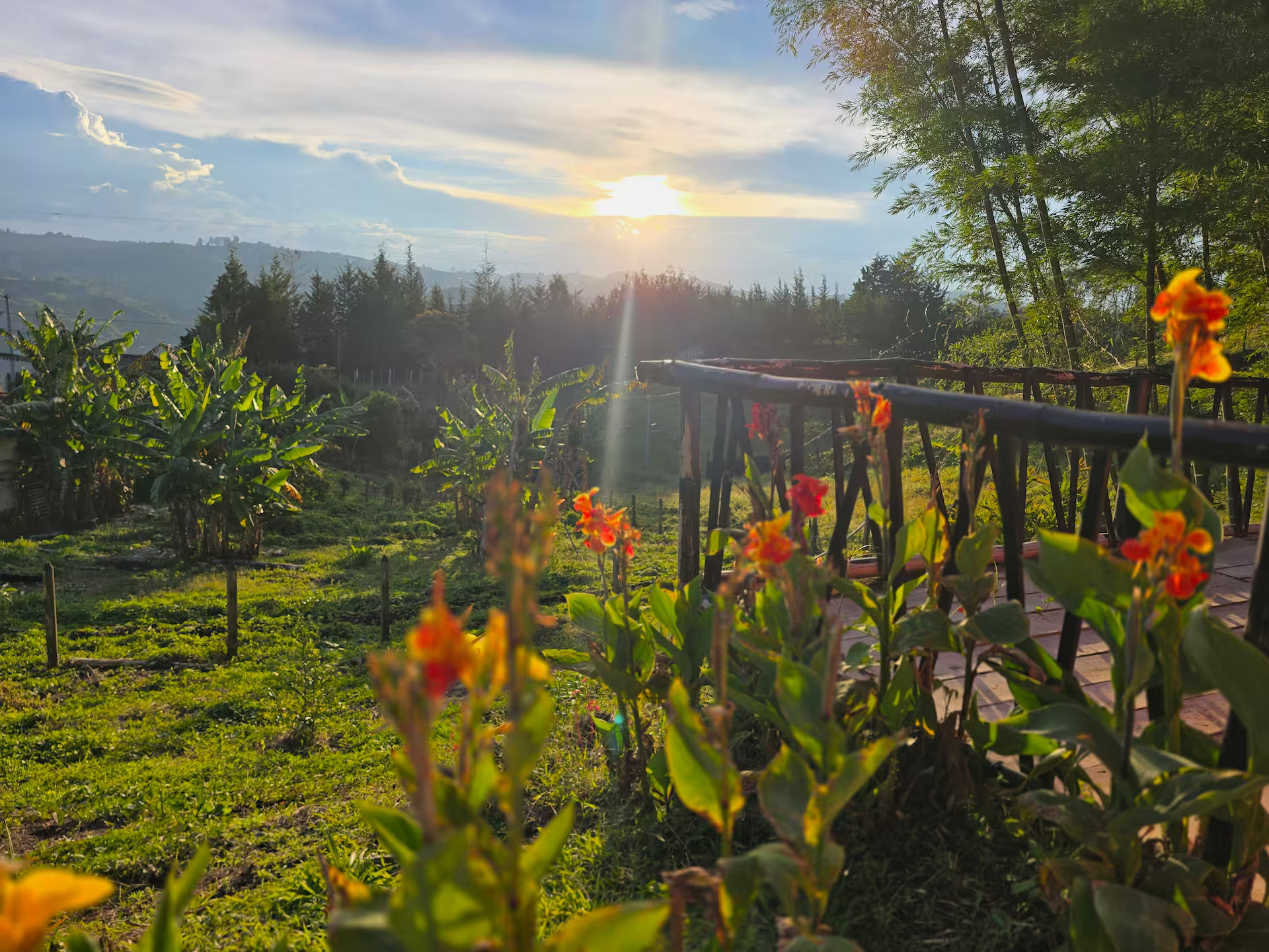 Finca La Preciosura's image