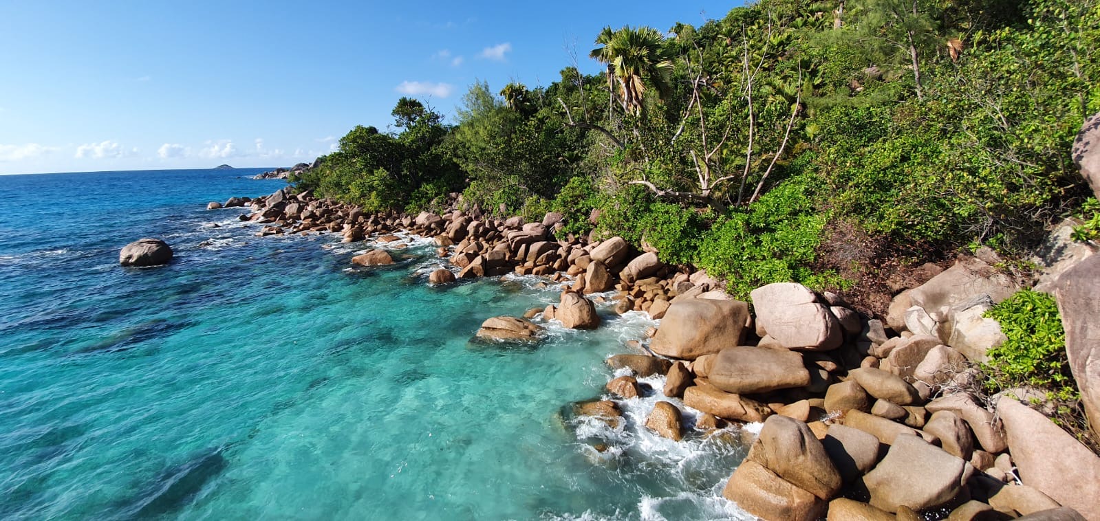 Sesel Tours and Booking's image