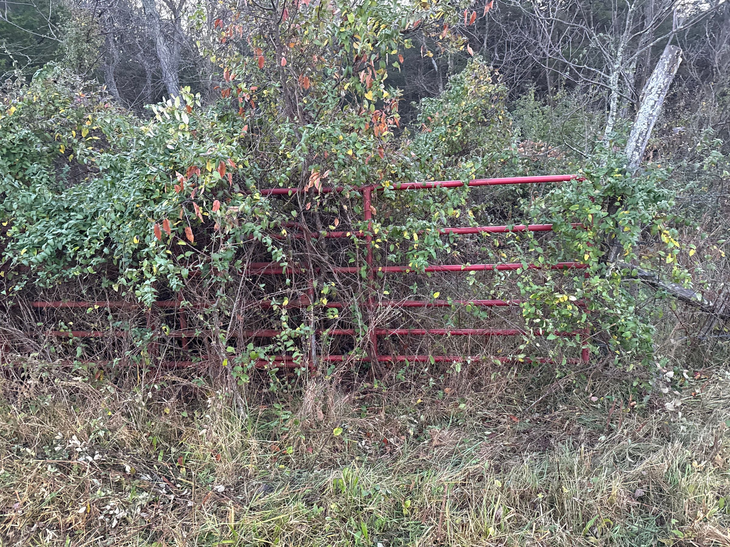 Excavation/ Excavating company's image