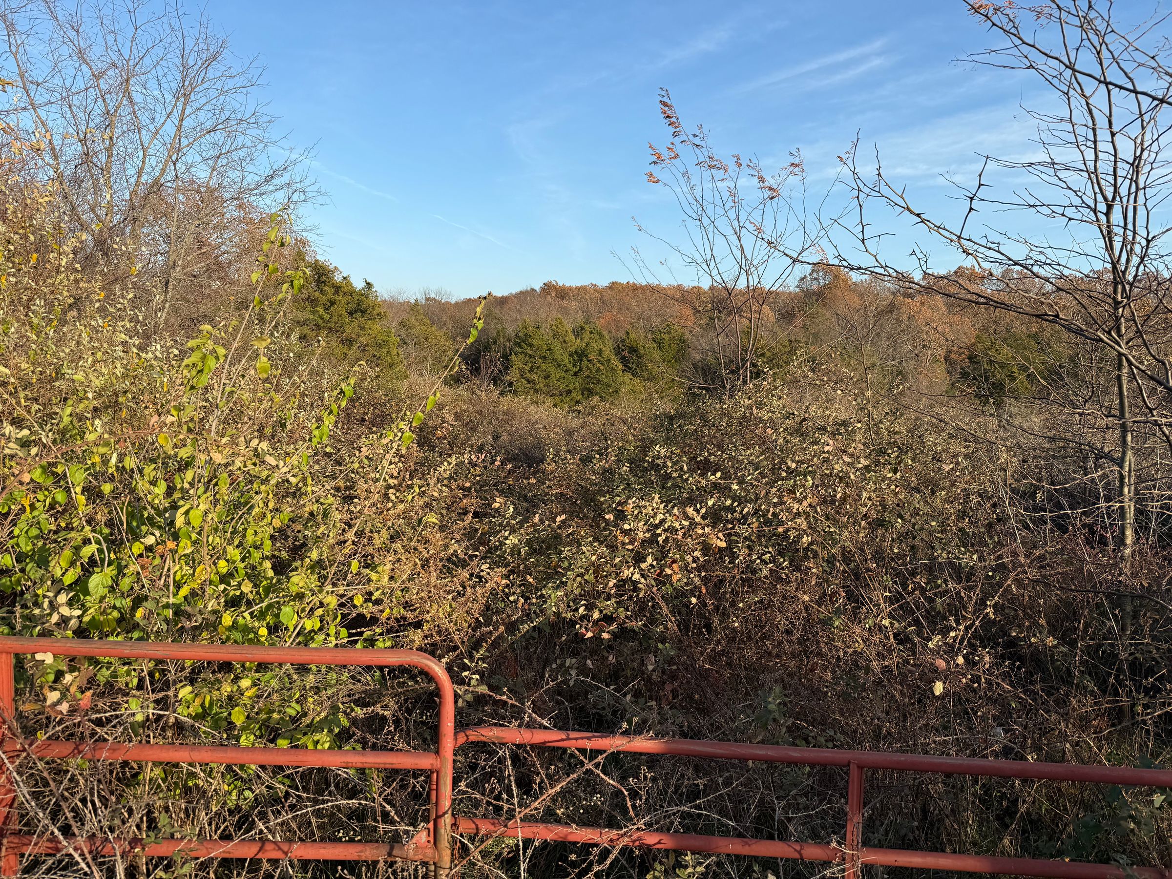 Excavation/ Excavating company's image