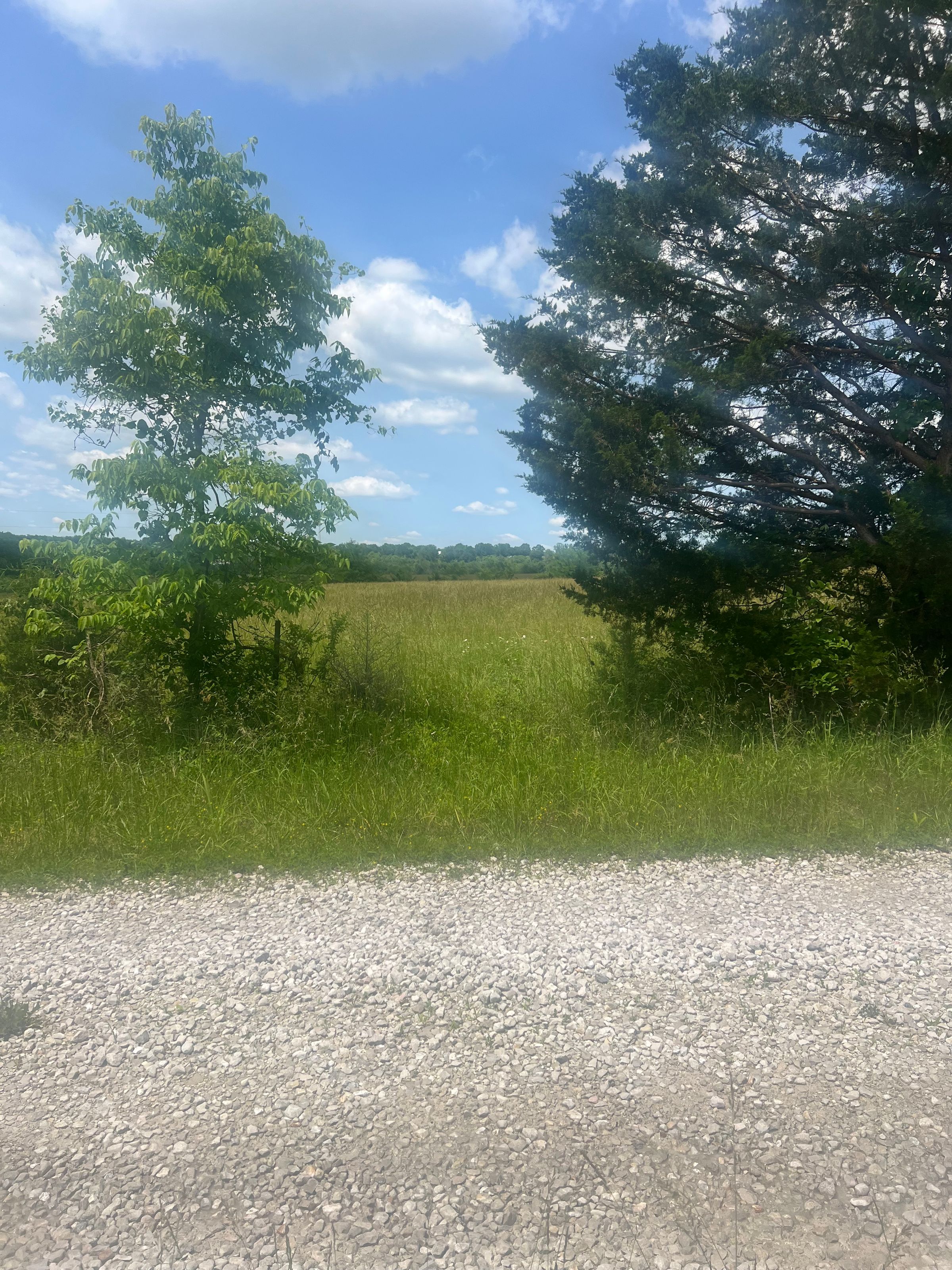 Excavation/ Excavating company's image