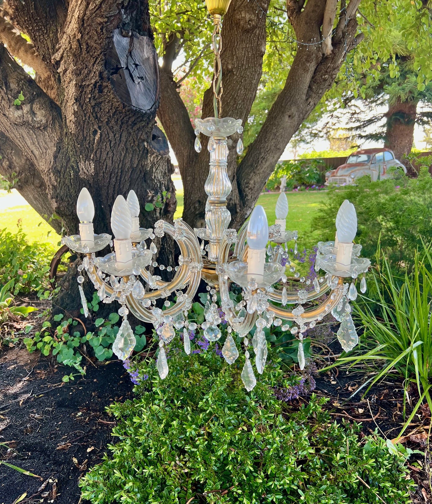 Wright Choice Event Hire's image