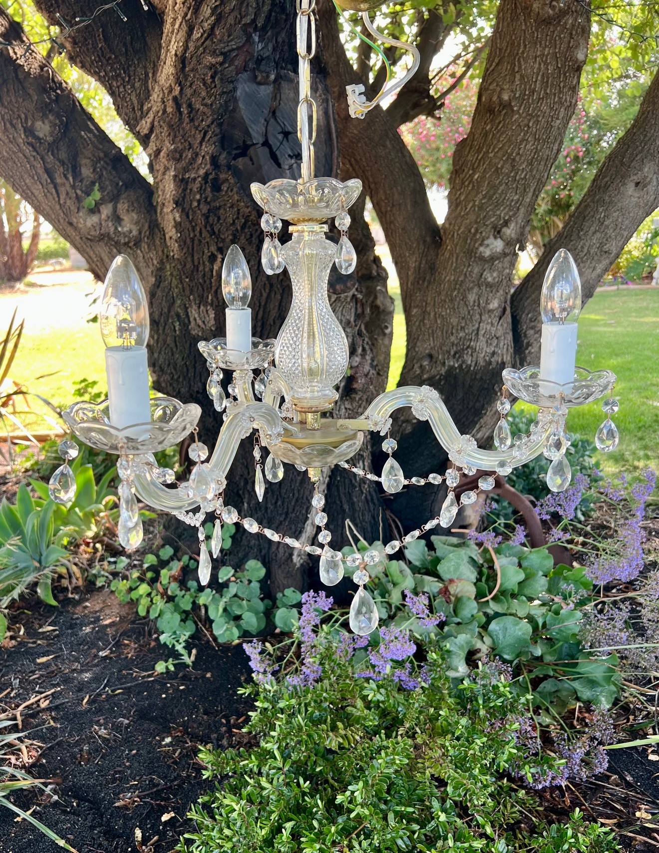 Wright Choice Event Hire's image