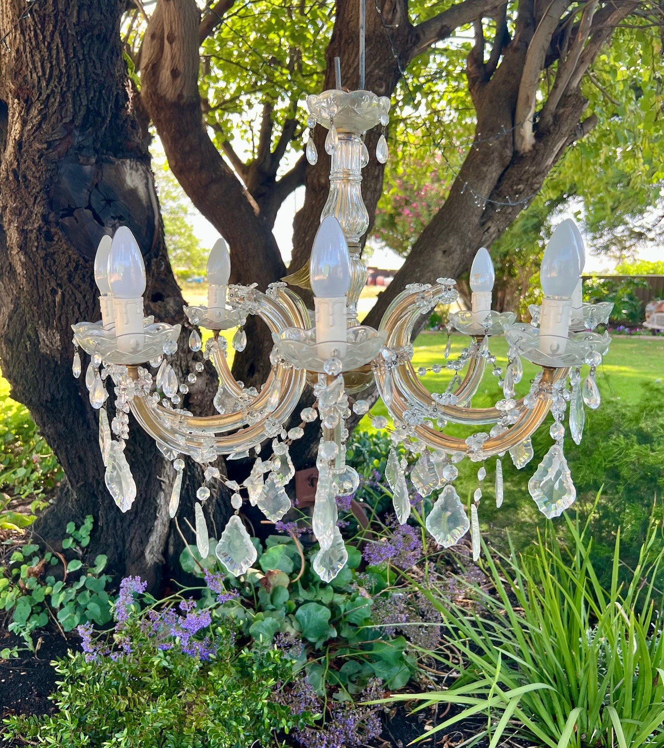 Wright Choice Event Hire's image