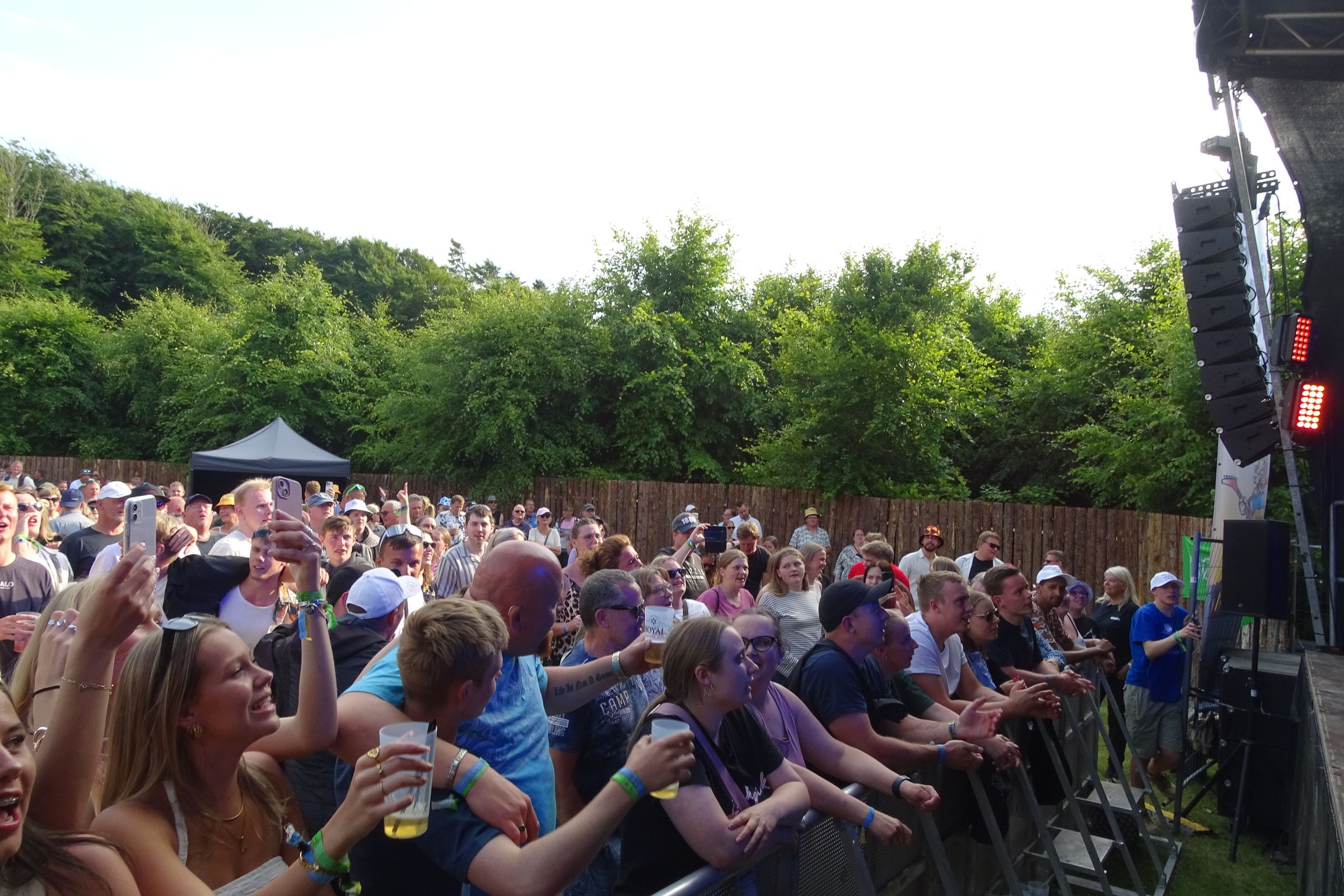 ribermedia.dk 's image