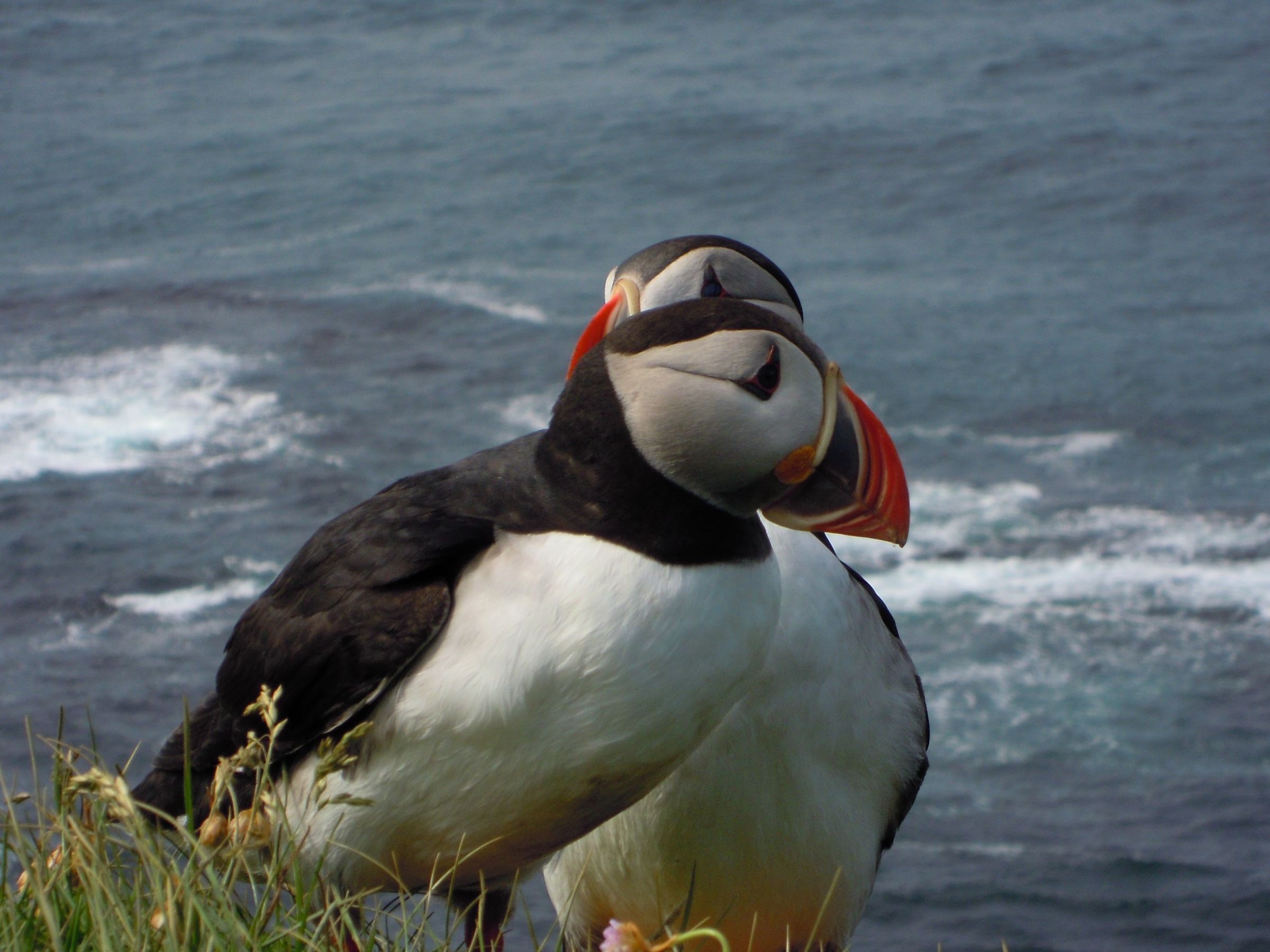 Foto: Laura Junquera