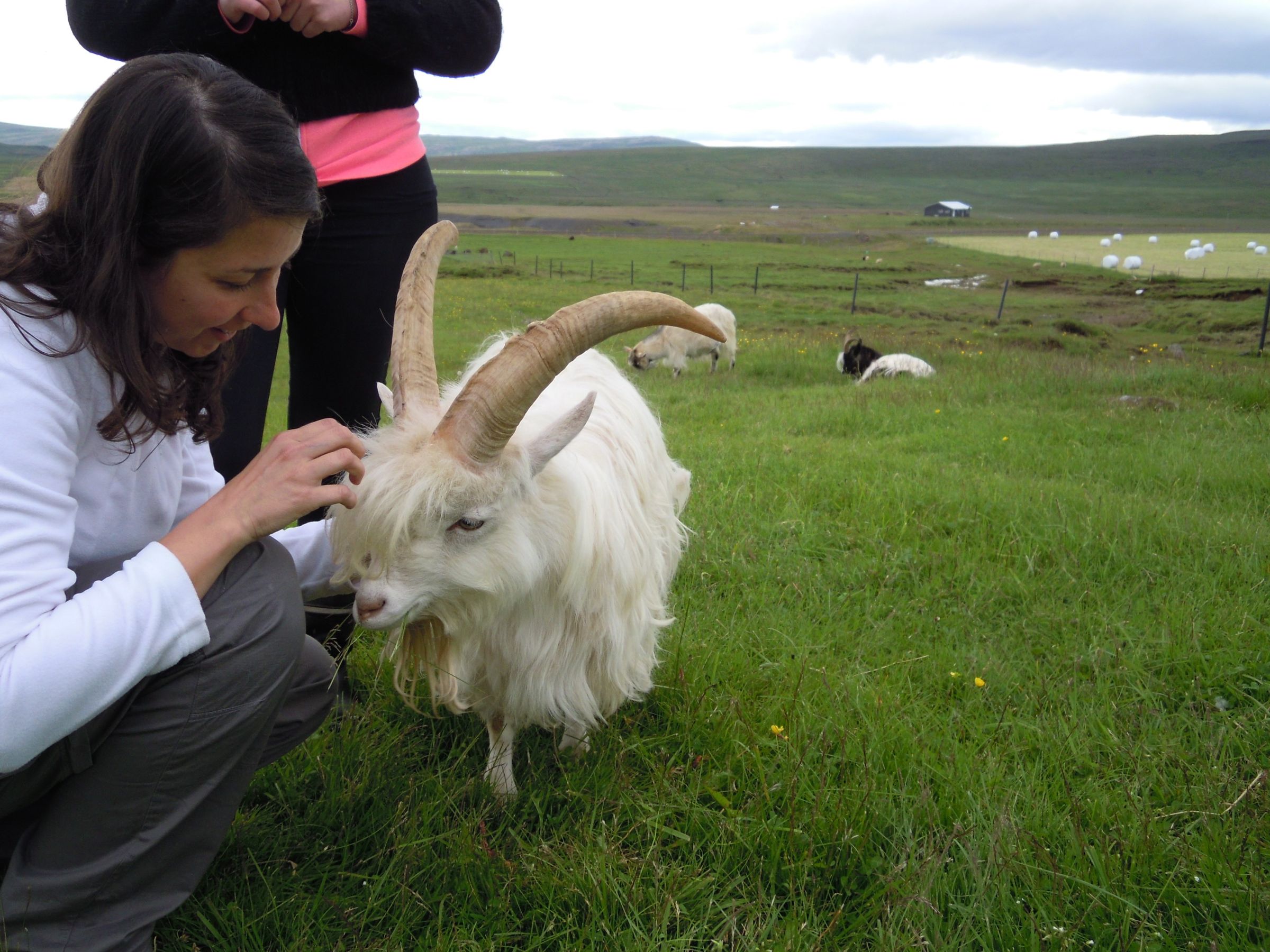 Foto: Laura Junquera