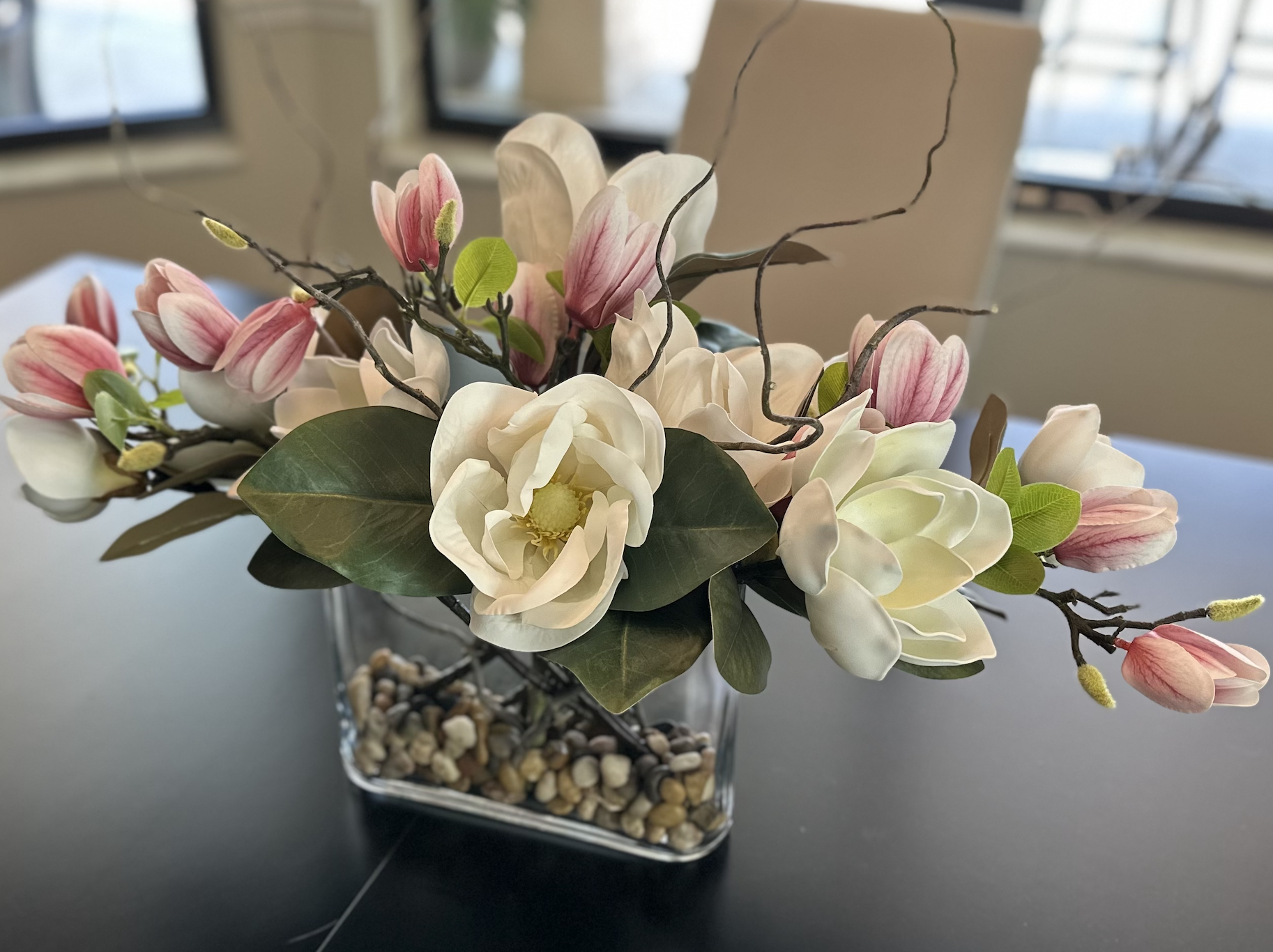 Magnolia Magnificence 