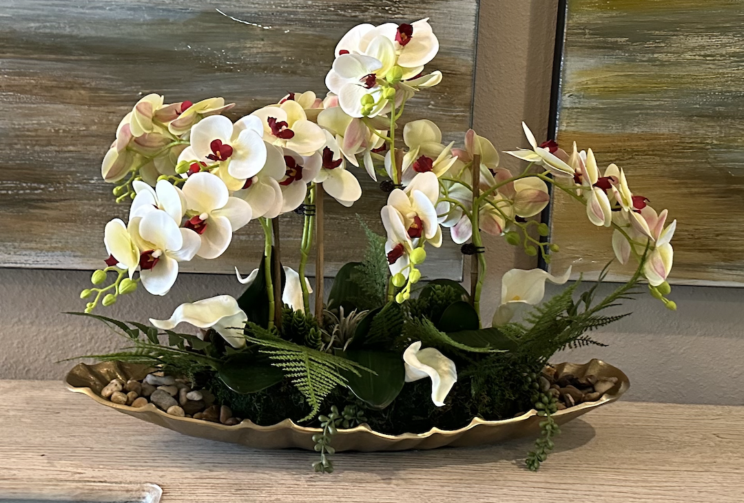 Orchid and Succulents