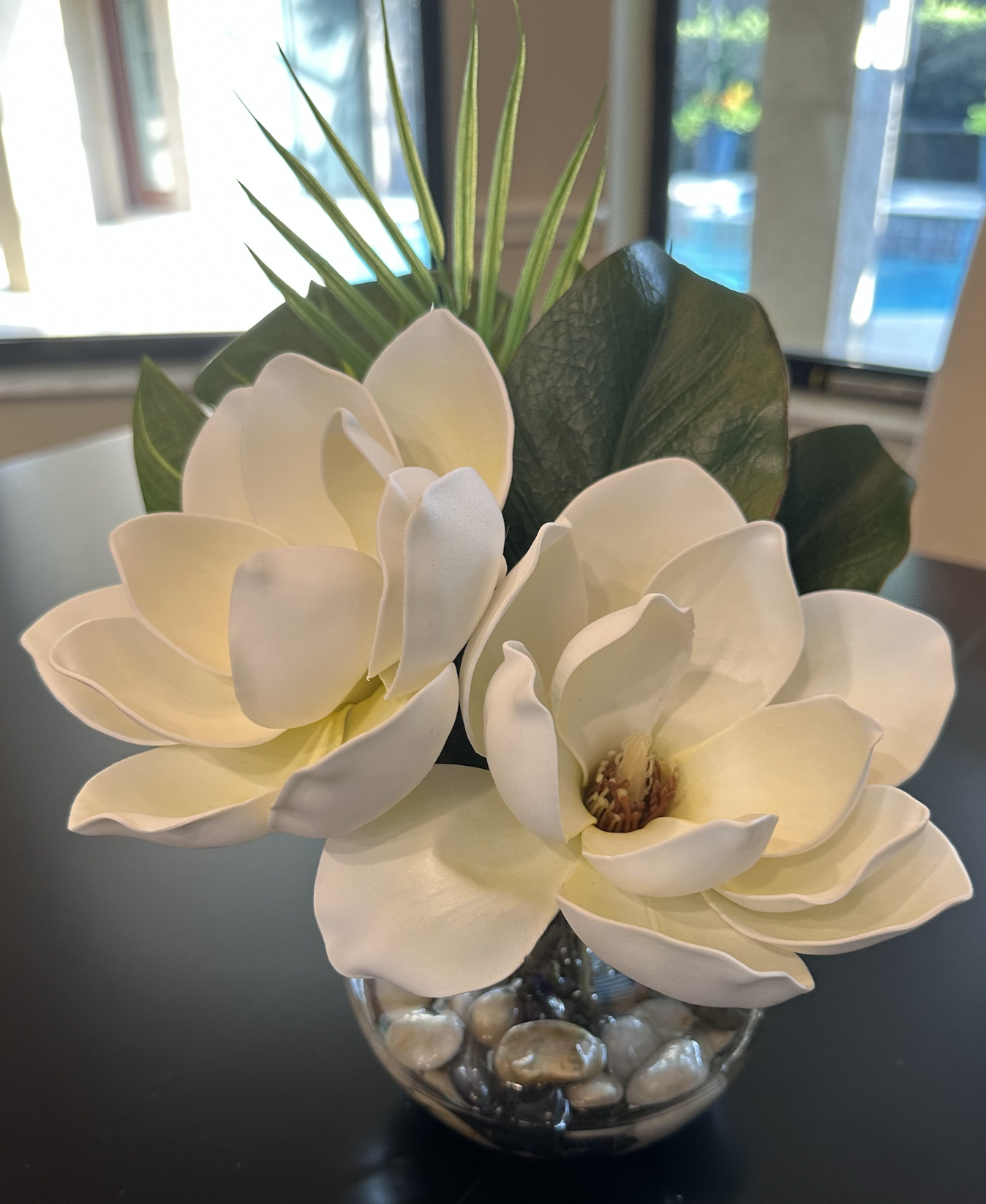 Tropical Magnolia