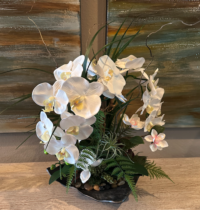 Orchids and Succulents