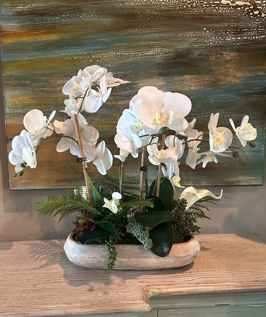 Orchid