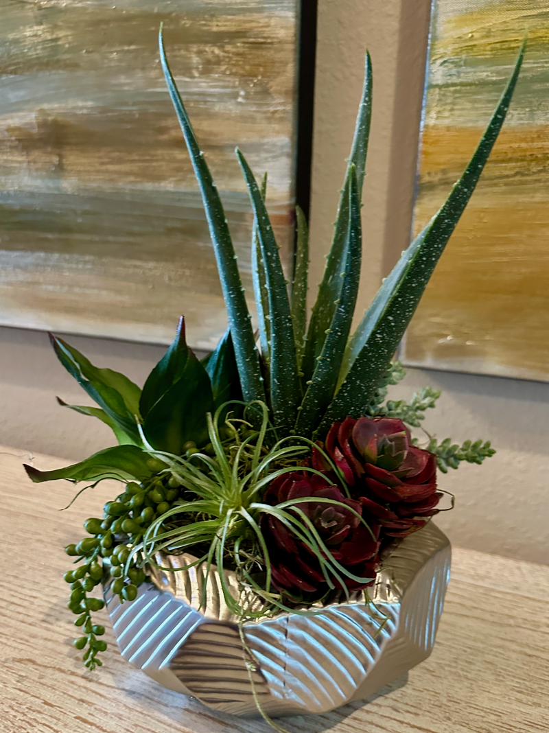 Natura Decor - Forever Elegant's image