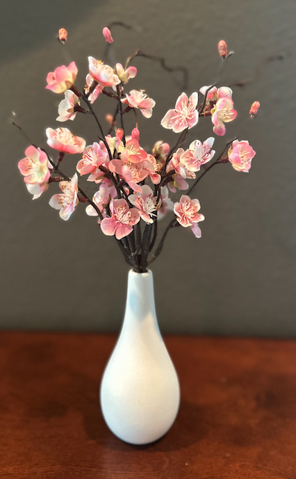 Cherry Blossom