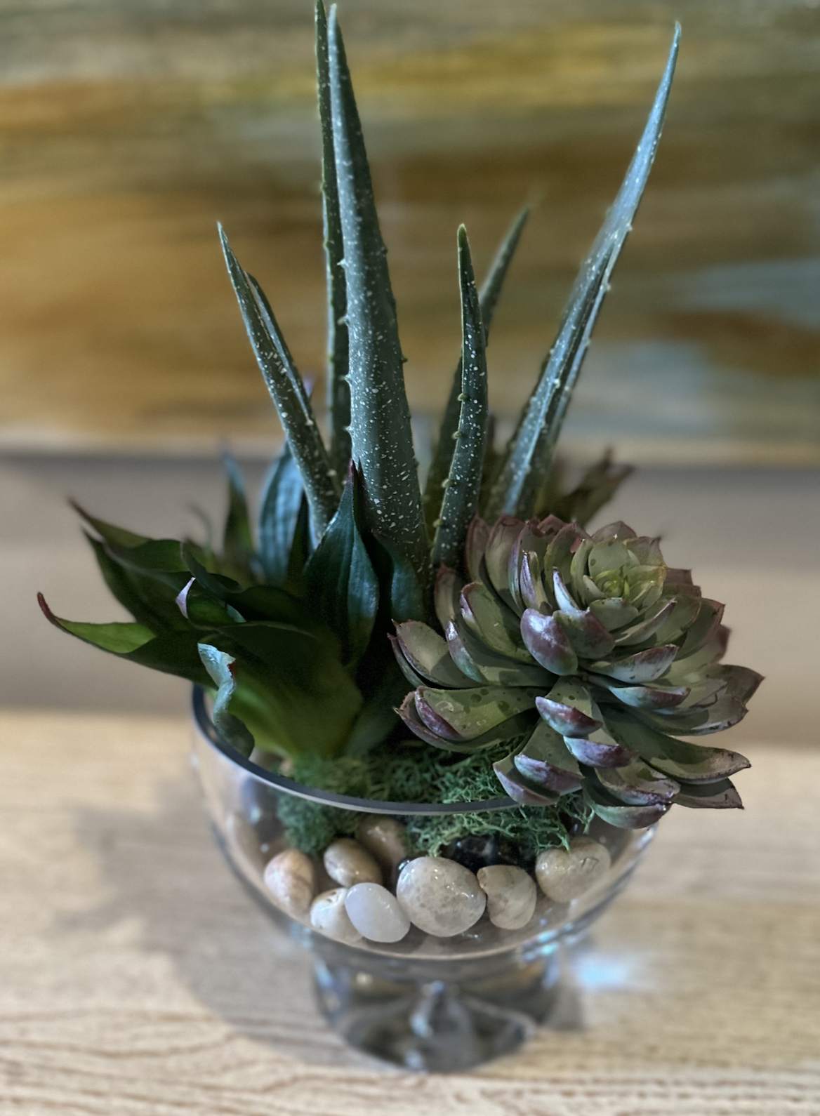 Succulent Trio