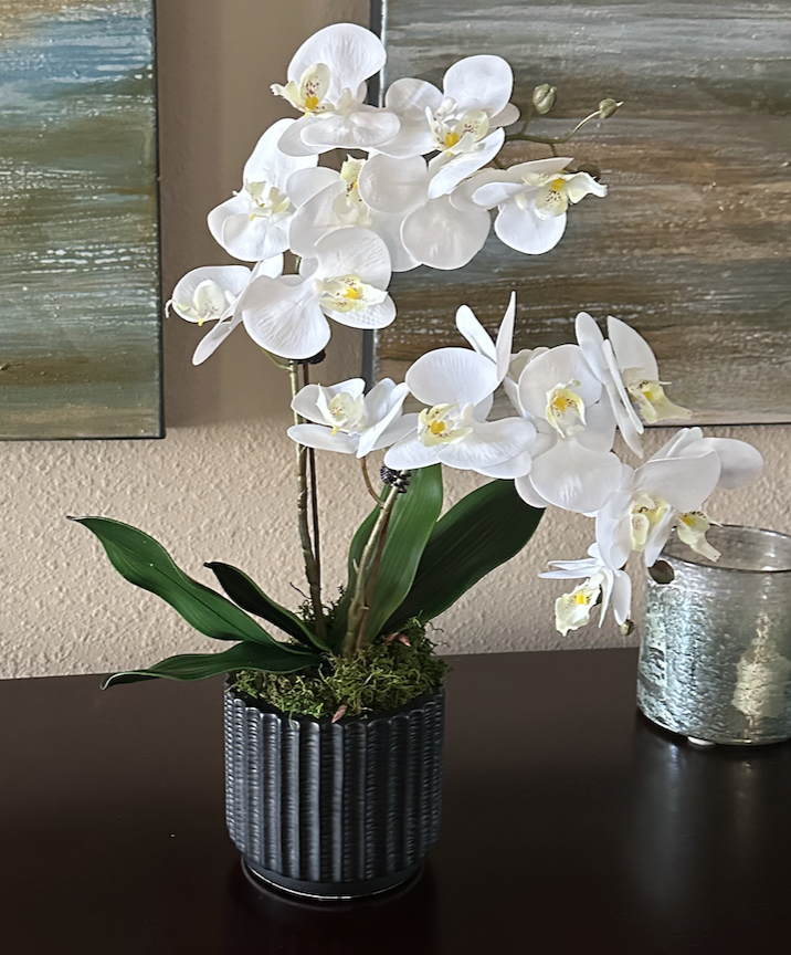 Small Orchid