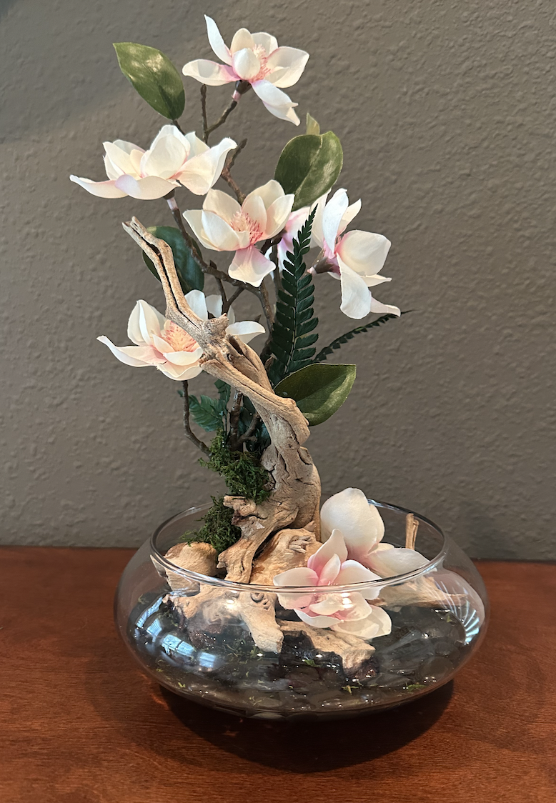 Drift wood and Magnolia