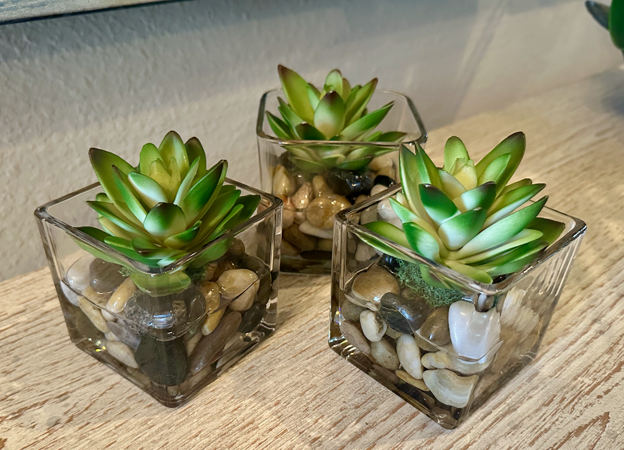 Natura Decor - Forever Elegant's image