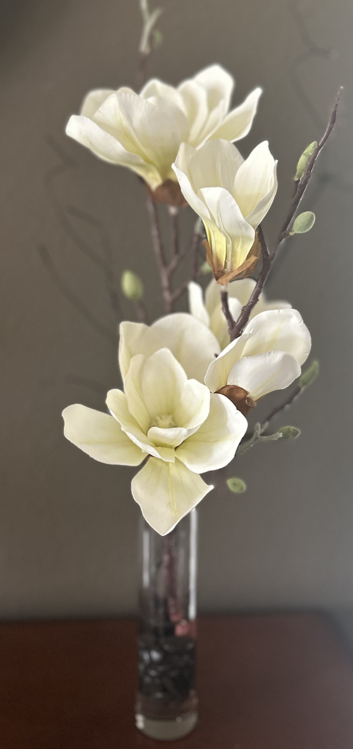 Magnolia Chic