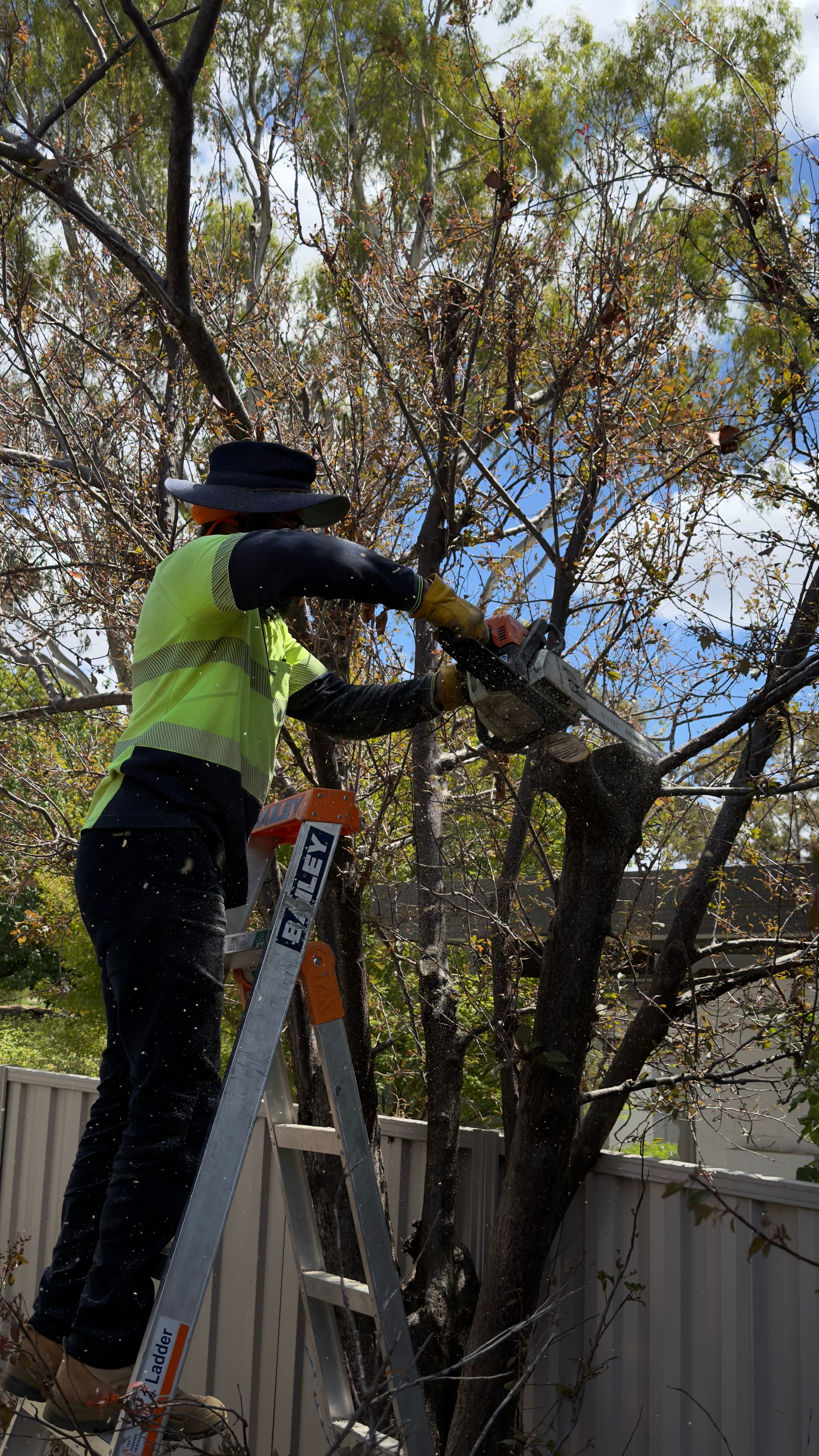 Professional Landscaping Services | Nanak Landscaping ACT's image