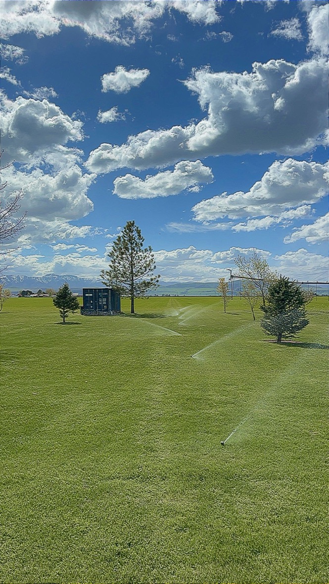 Lawn Sprinkler Repair/Installation - Cache Valley, UT's image