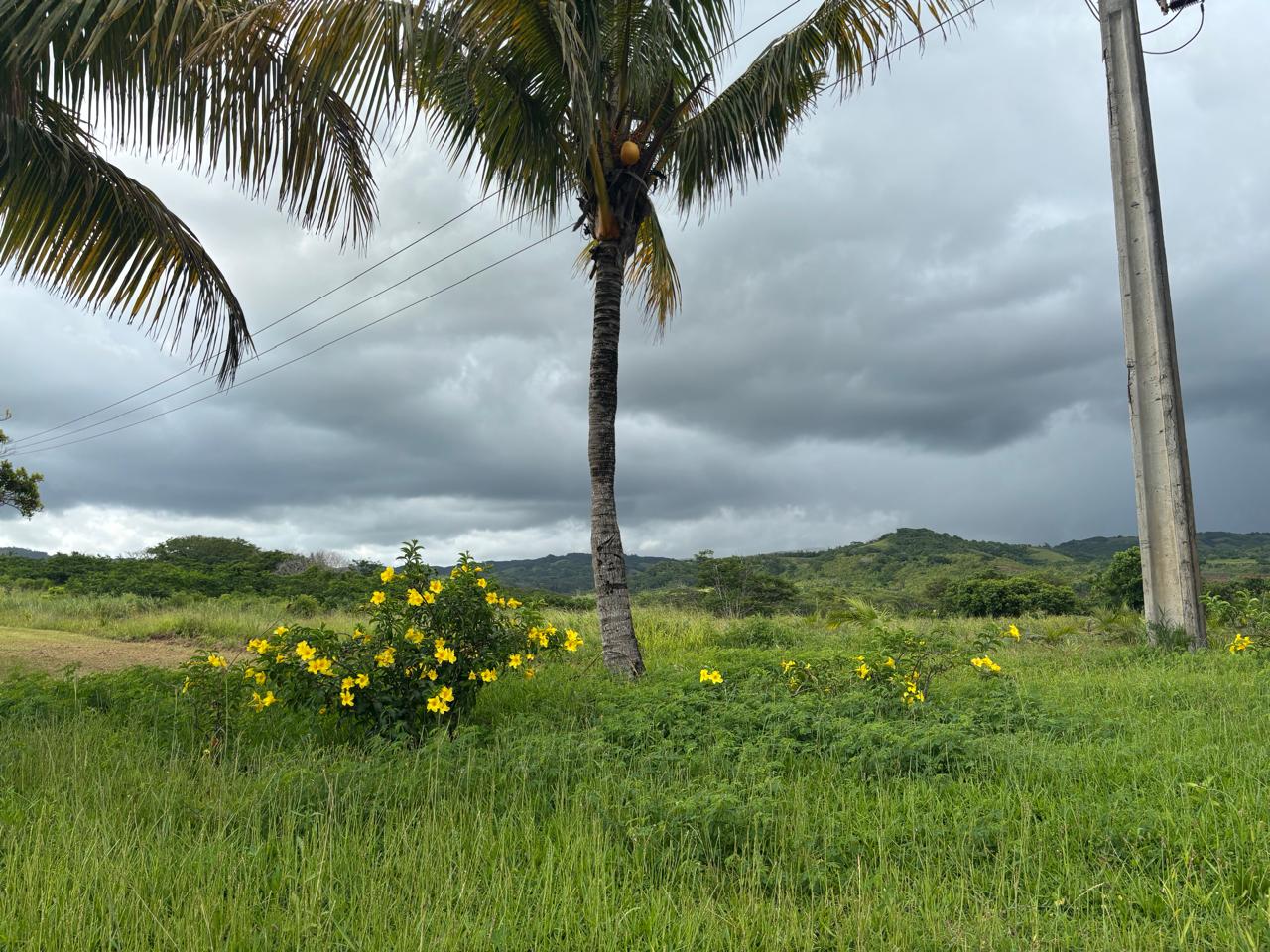 Luxor Estates Ltd's image