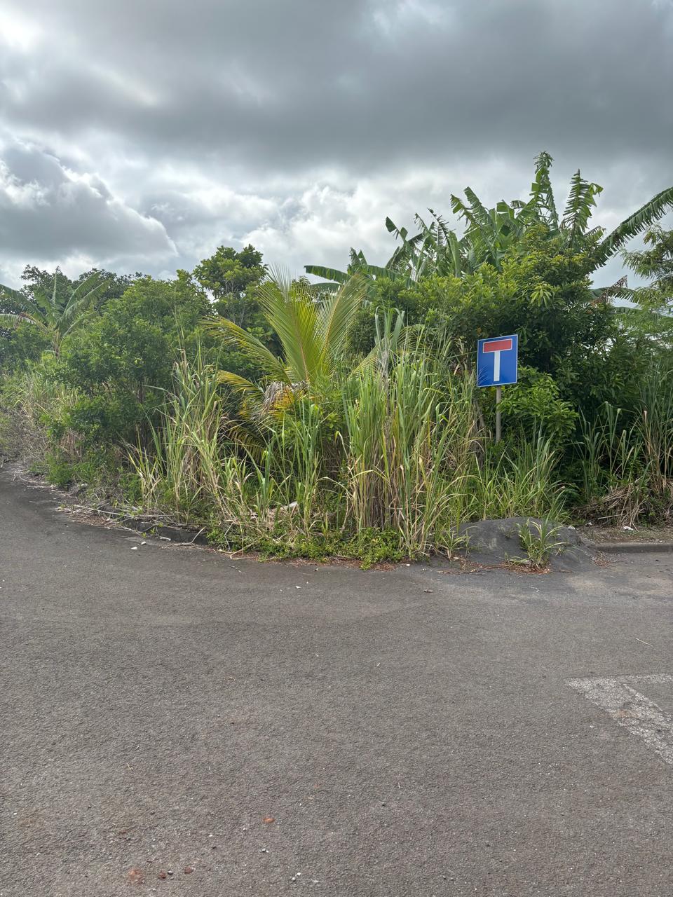 Luxor Estates Ltd's image