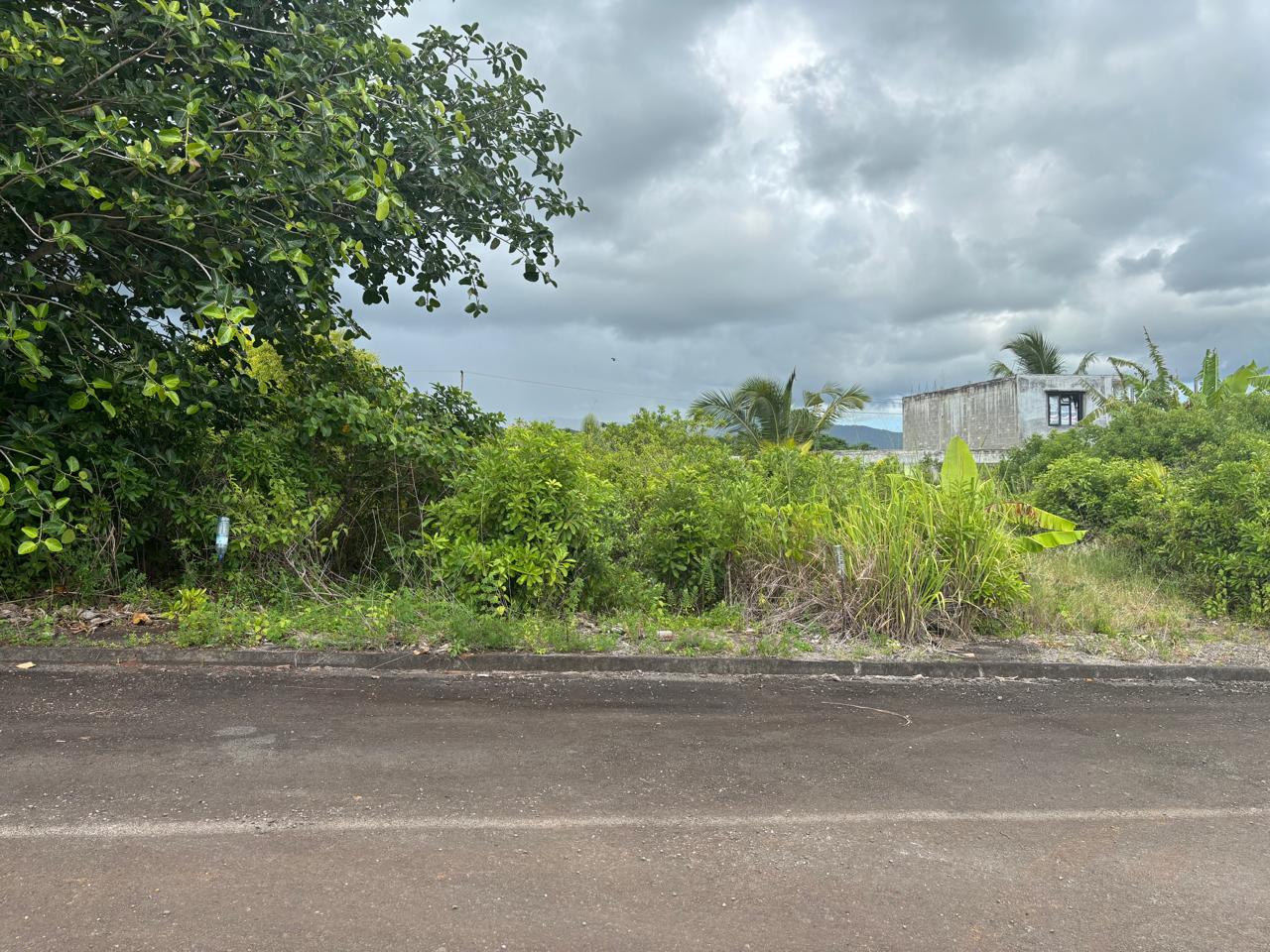 Luxor Estates Ltd's image