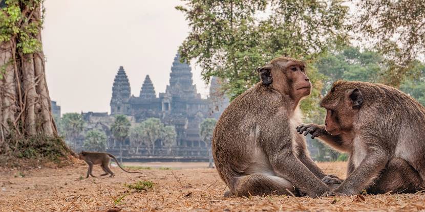 La Villa23 Signature***'s image