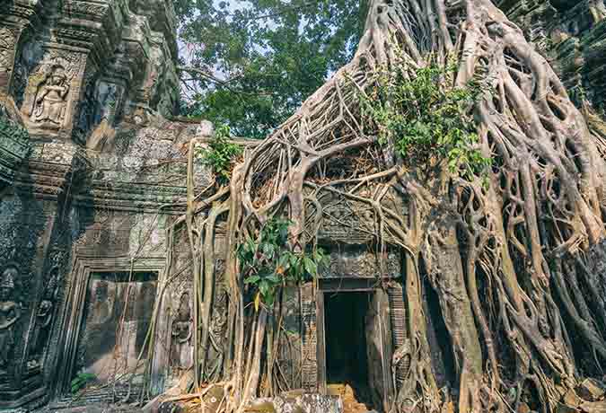 La Villa23 Signature***'s image