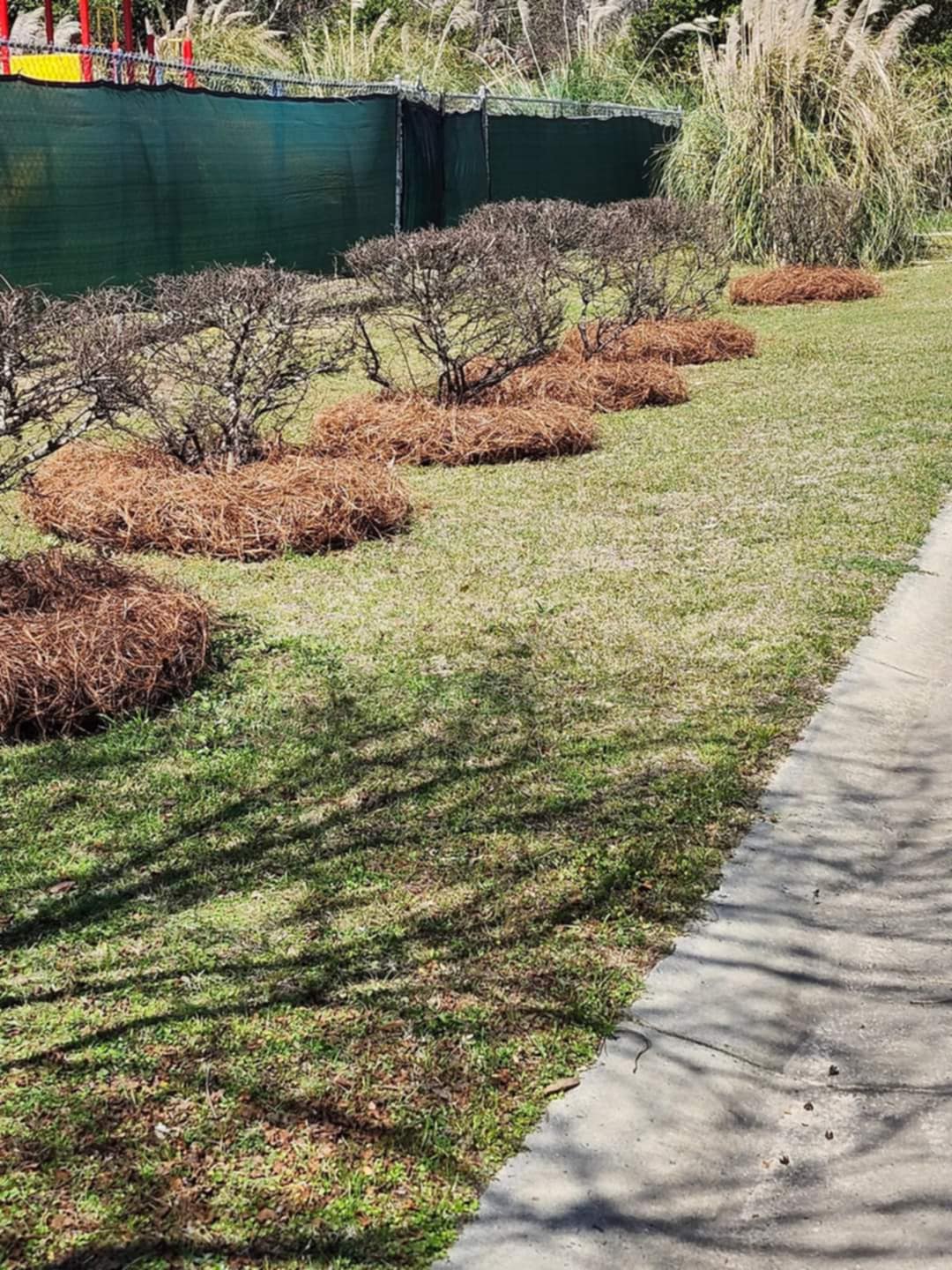M & M Landscaping's image