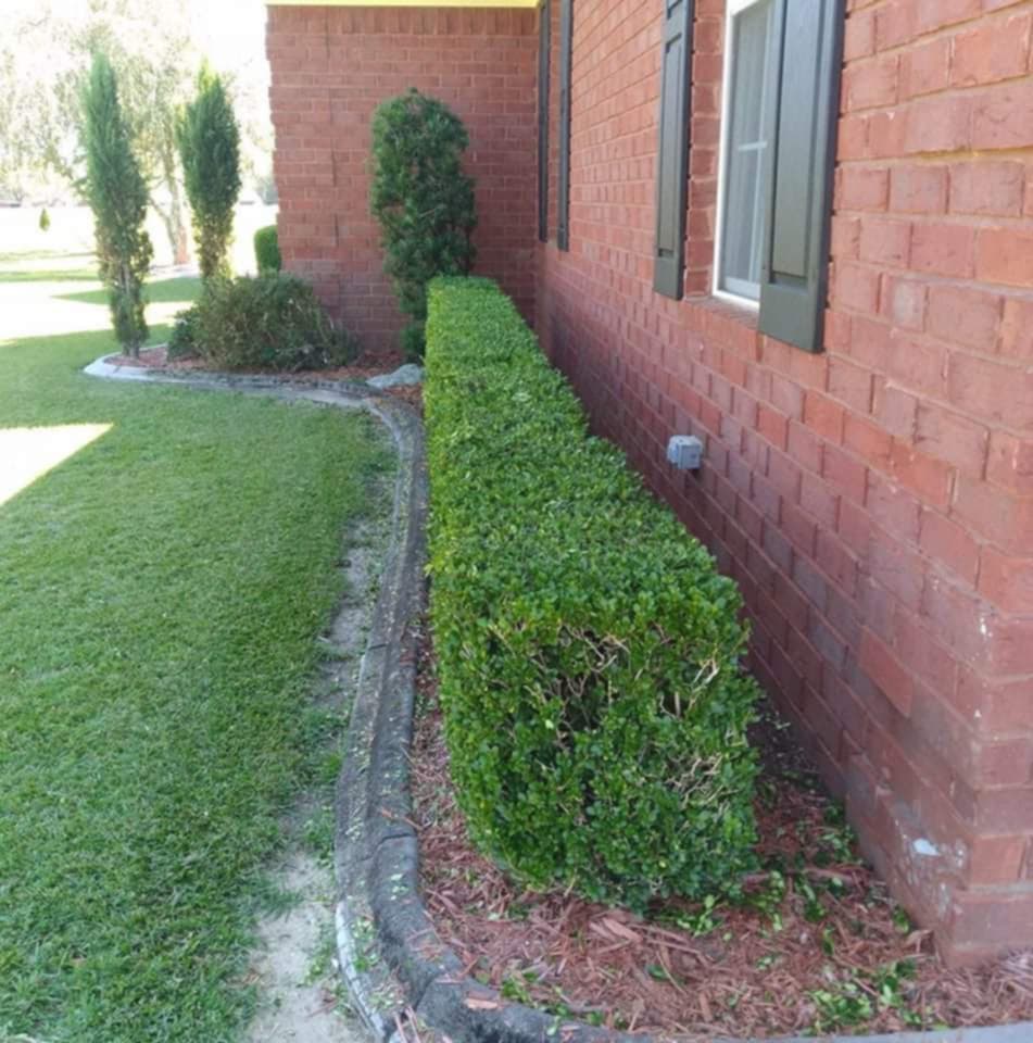 M & M Landscaping's image