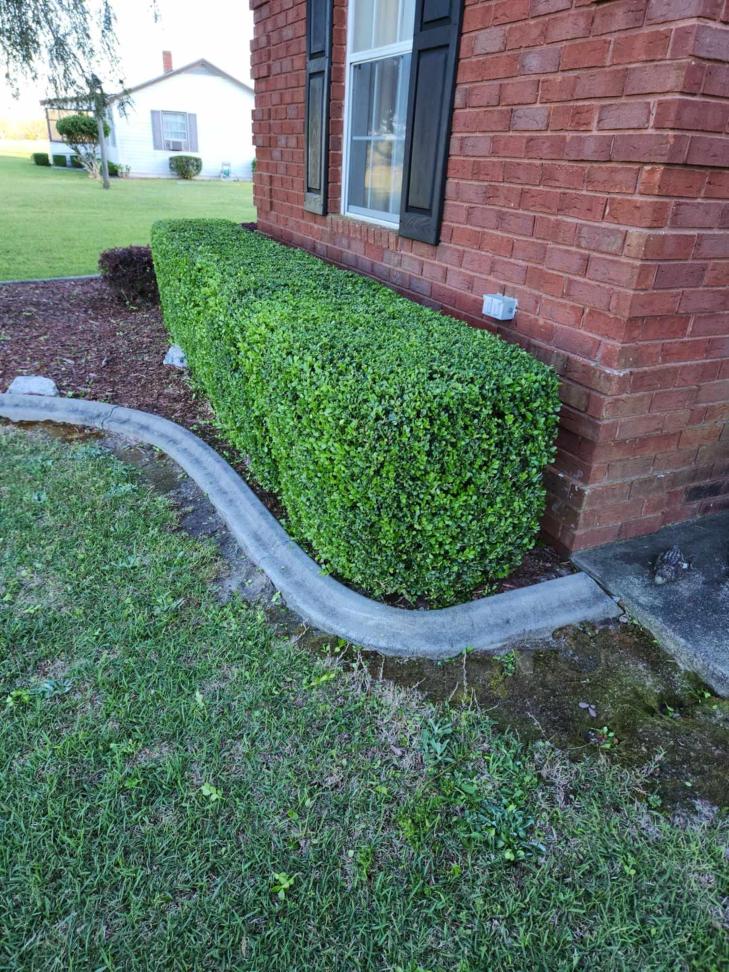 M & M Landscaping's image