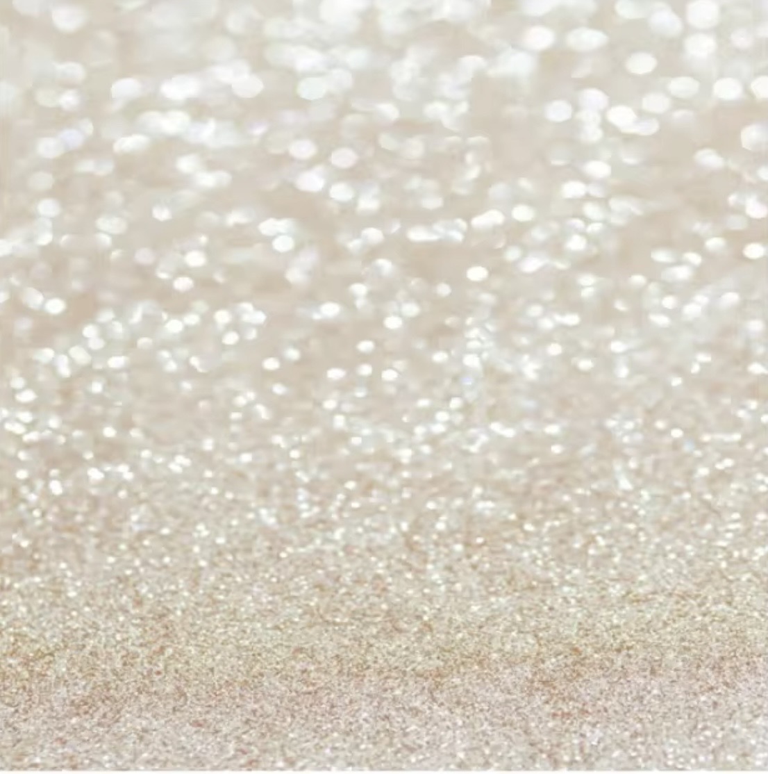 08. CHAMPAGNE GLITTER