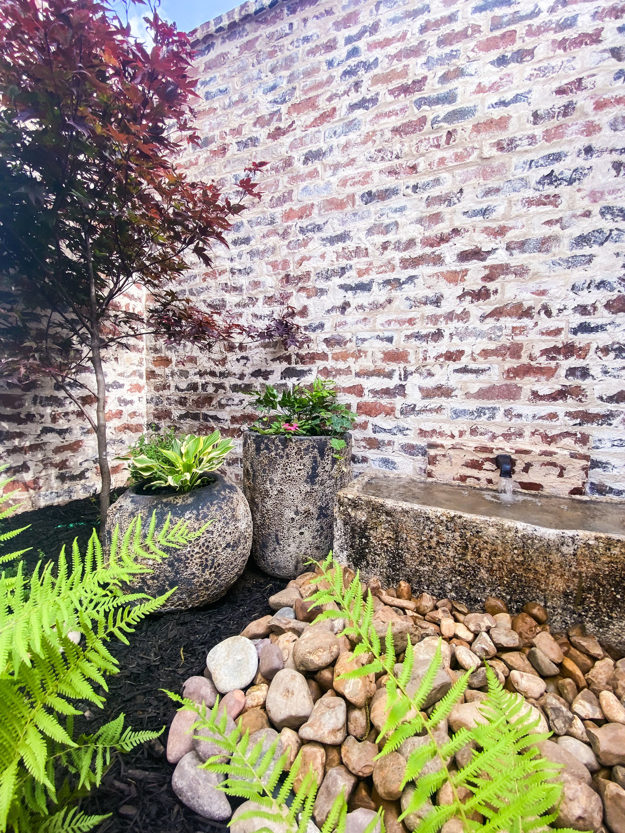 Root & Stone's image