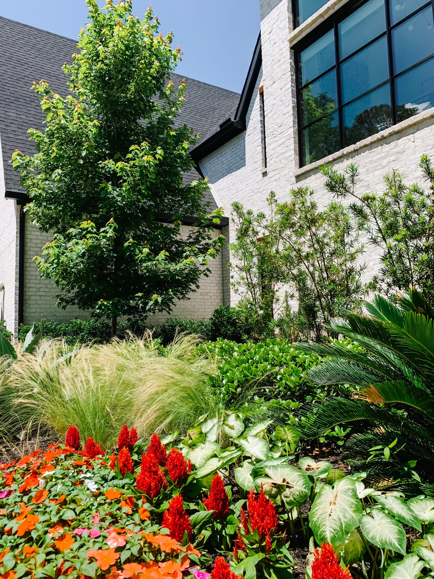 Root & Stone's image