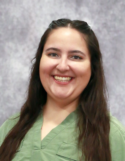 THE OLIVE BRANCH's image