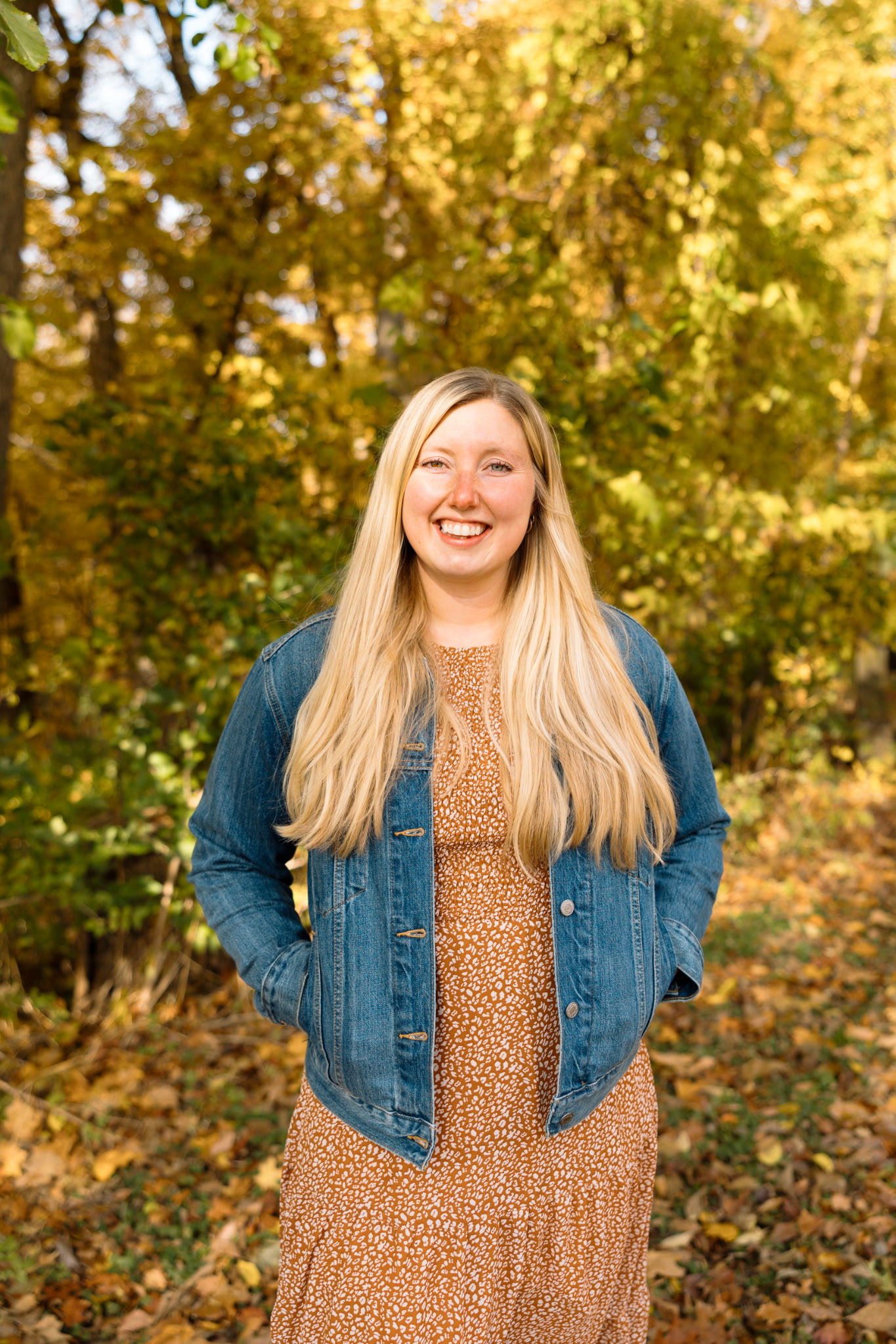 THE OLIVE BRANCH's image