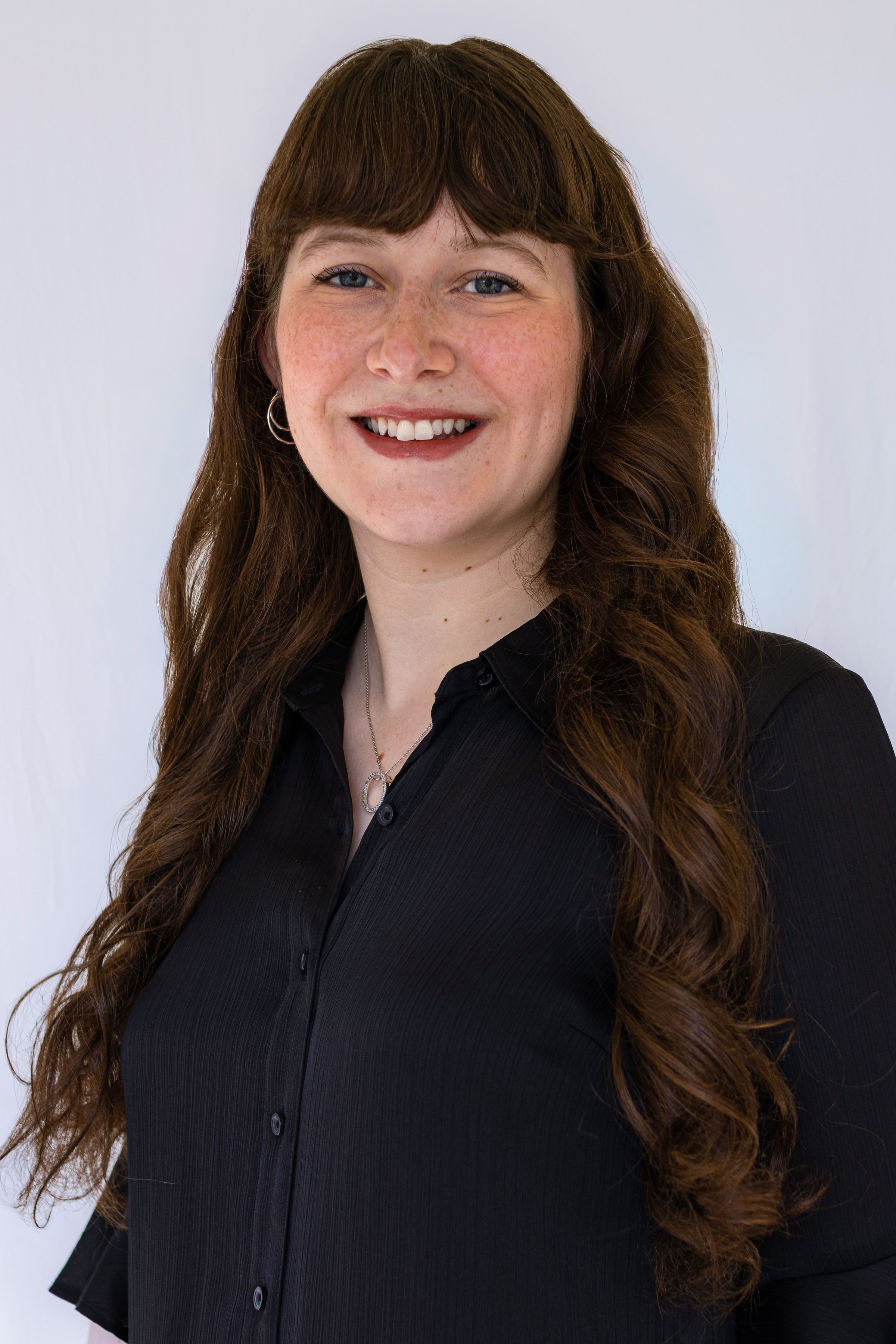 THE OLIVE BRANCH's image