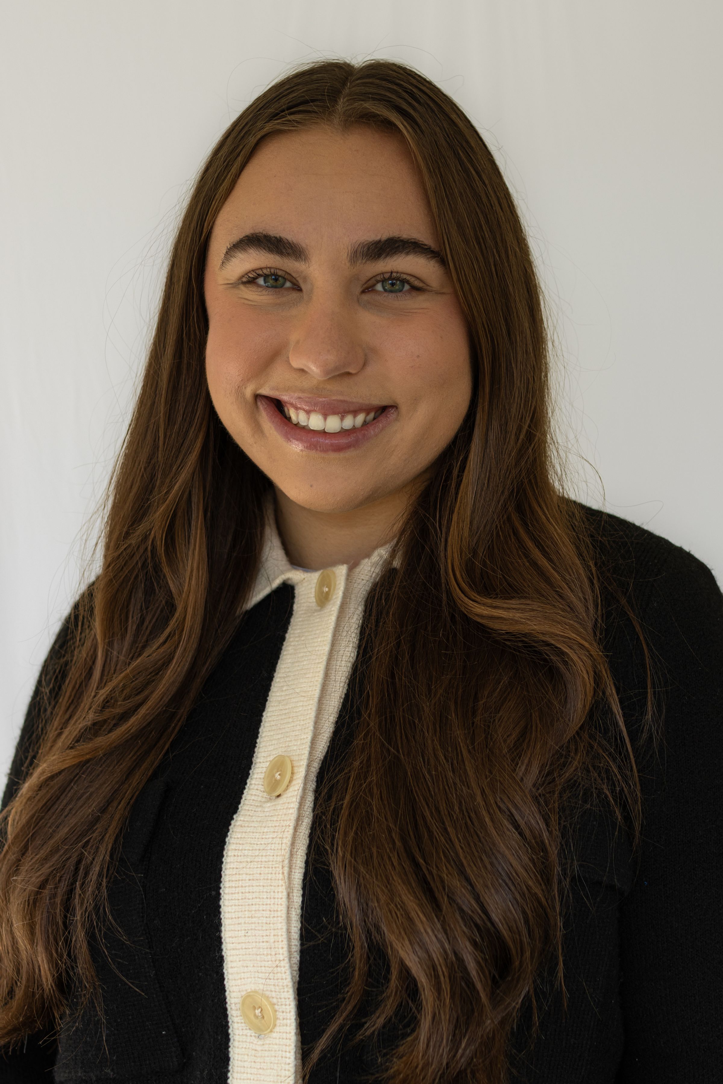 THE OLIVE BRANCH's image