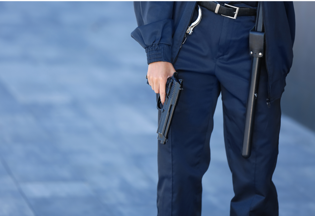 Professional Security and Investigation, Inc.'s image