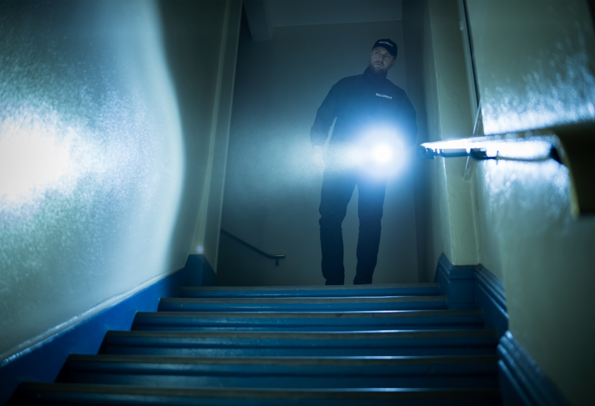 Professional Security and Investigation, Inc.'s image