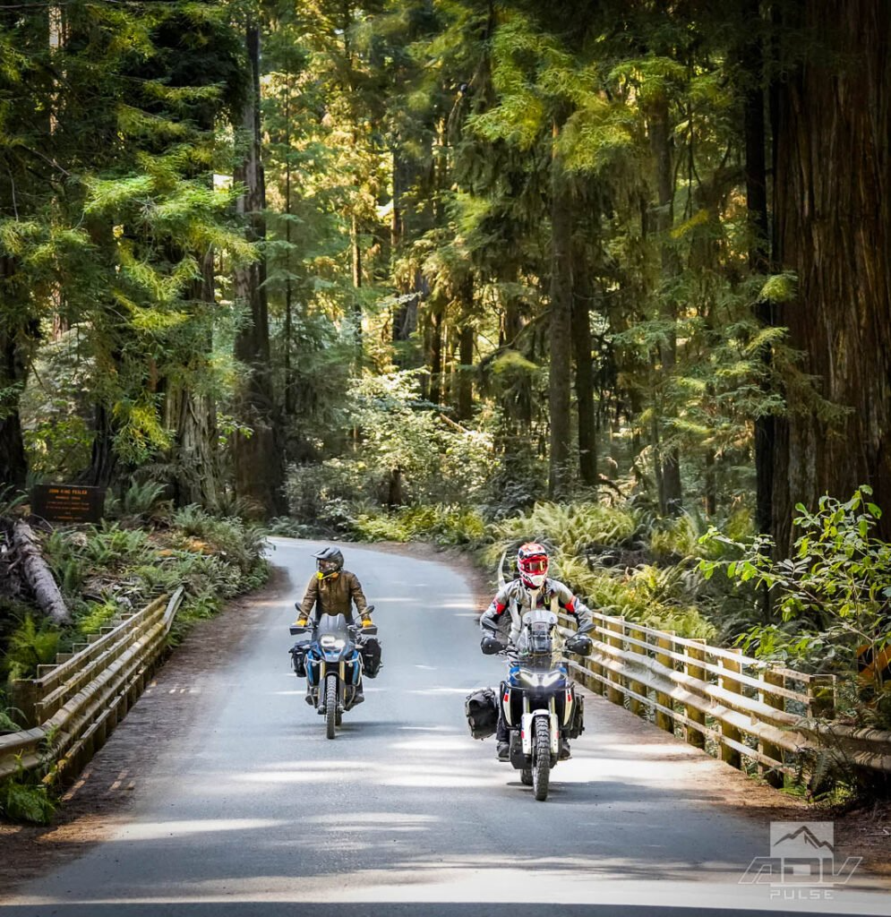 The Rebellion Cancer Foundation's image