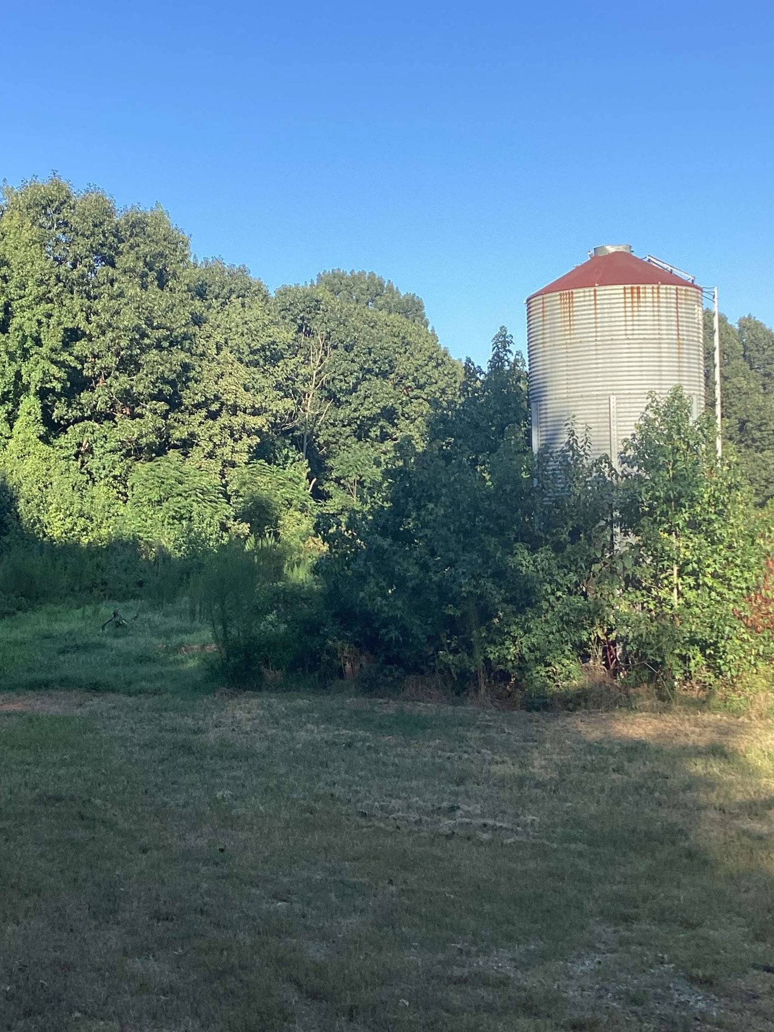 The Elderly Fresh Program INC 's image