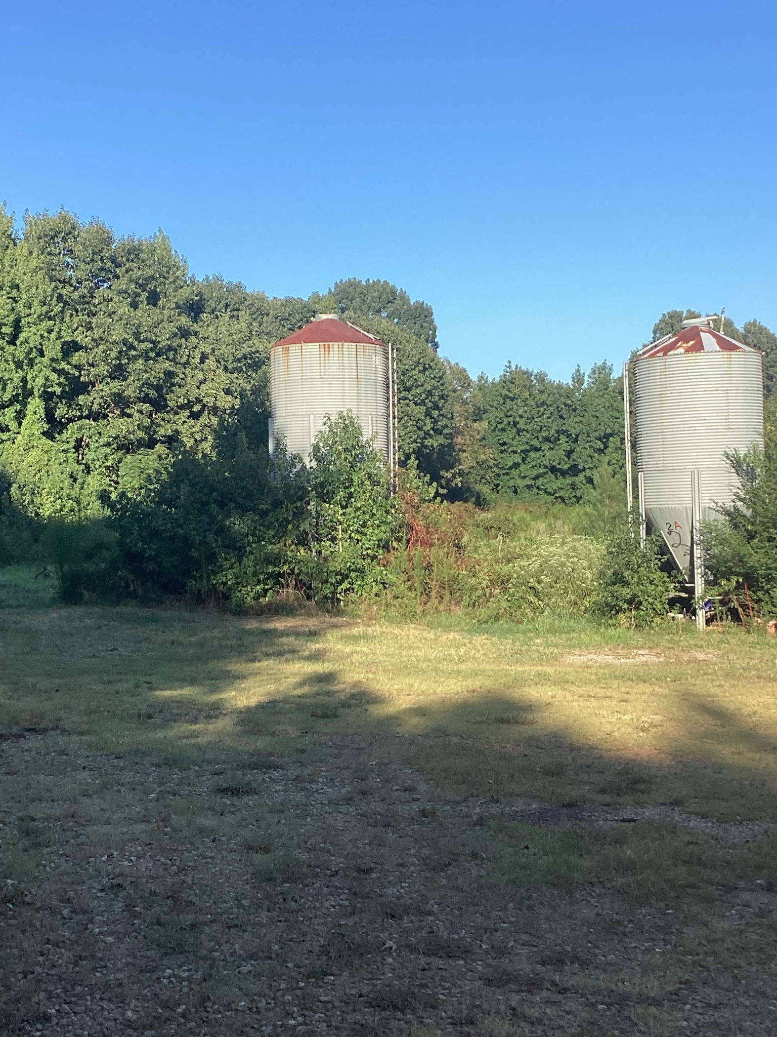 The Elderly Fresh Program INC 's image