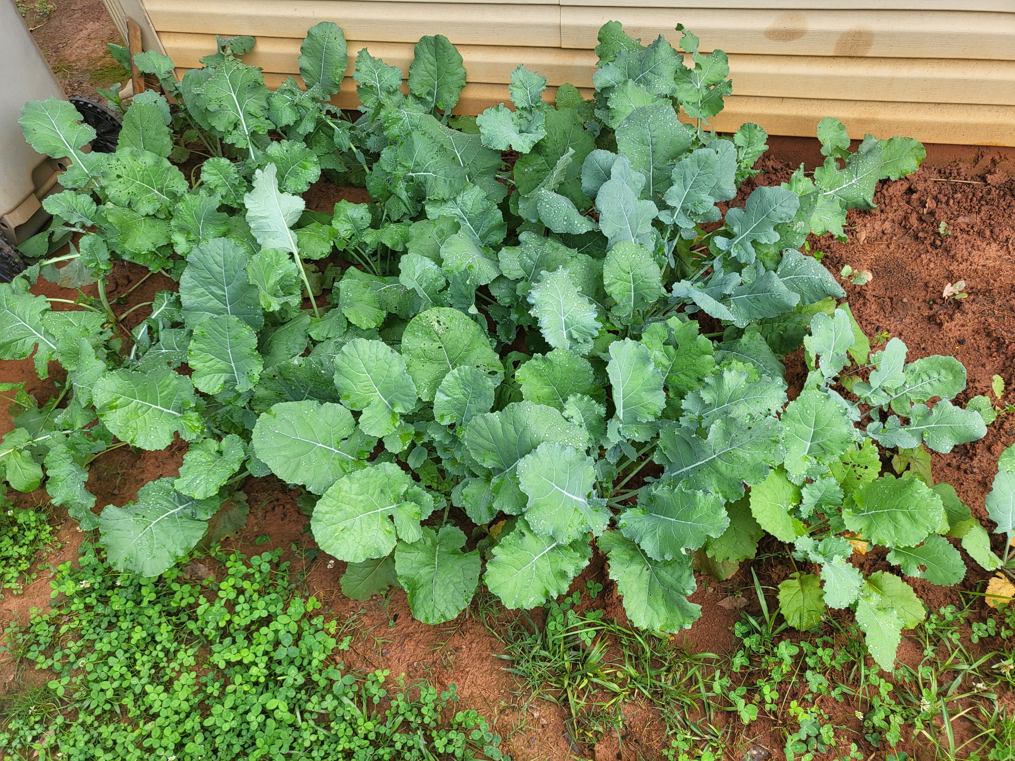 The Elderly Fresh Program INC 's image